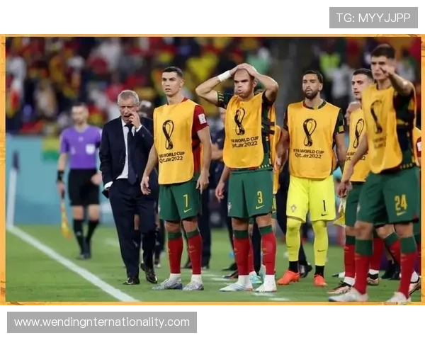 葡萄牙世界杯征程回顾与未来发展前景全面深度解析